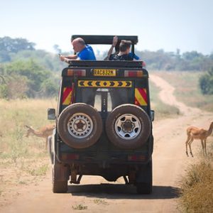 Guided Wildlife Safaris -in-Rwanda