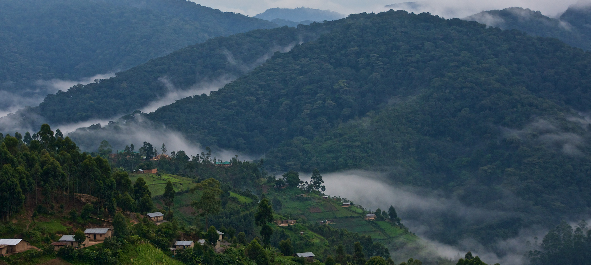 Up-Here-On-the-way-to-gorillas-in-bwindi-National-Park
