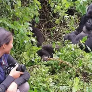 2 Days Bwindi Gorilla Tour