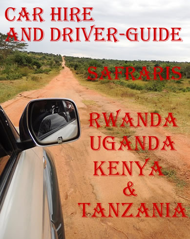 Car hire and driver guide - Self drive Rwanda