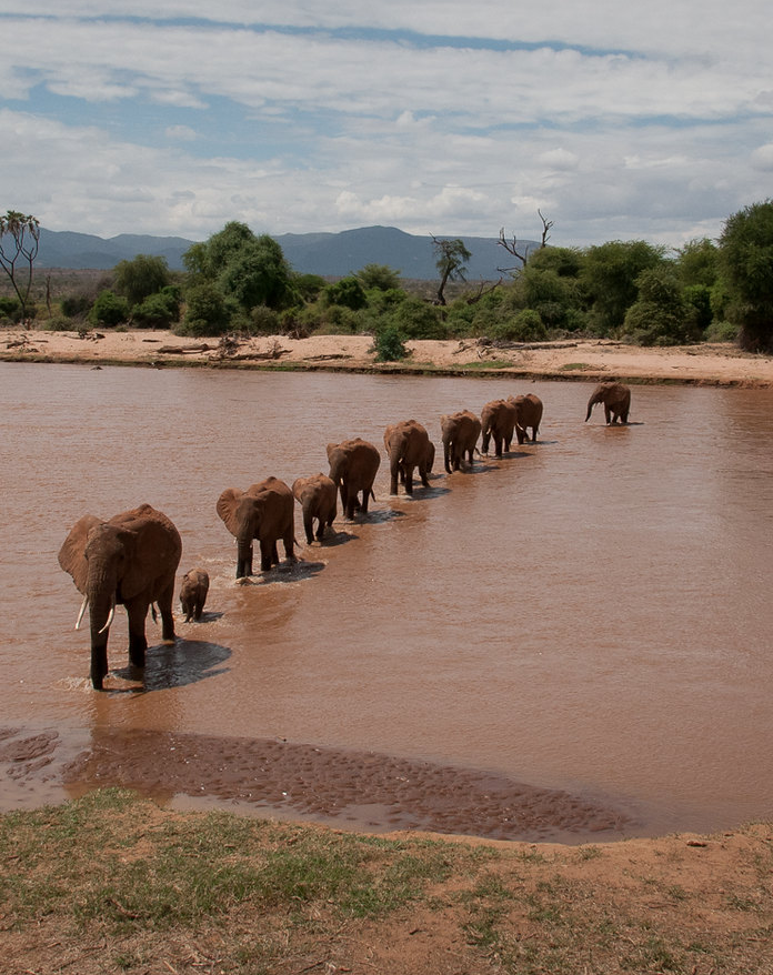 4x4 Kenya self drive Safaris - Masi Mara