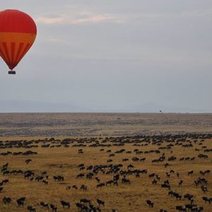 Masai Mara - 4x4 kenya Safaris