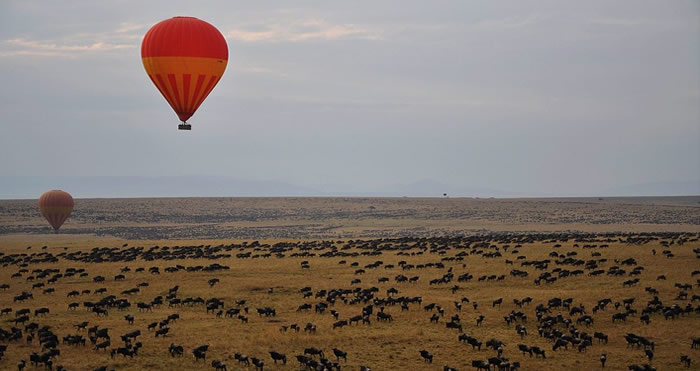 Masai Mara - 4x4 kenya Safaris