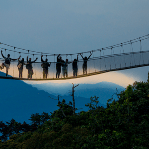 Discover Nyungwe National Park in Rwanda