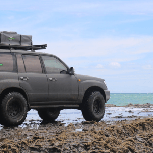 Queen Elizabeth National Park Safari Guide: Self-Drive Tours vs. Guided Safaris — Which Is Right for You?