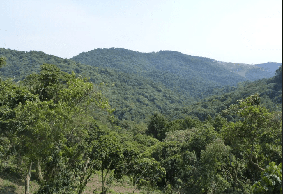 Gishwati-Mukura-National-Park Rwanda