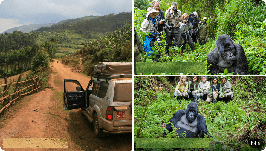 Self-drive volcano and gorilla safari adventures
