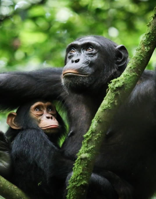 Self Drive Trips Across East Africa