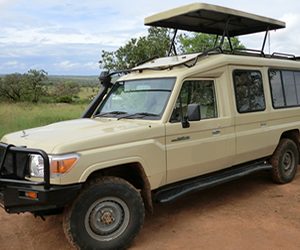Safari-land-cruiser - Car hire with a driver guide For private guided safaris, this 7 seat is a comfortable 4x4 with wide windows and higher ground clearance to navigate the wilderness.