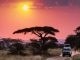 self drive trips car rental and one way cross border safaris