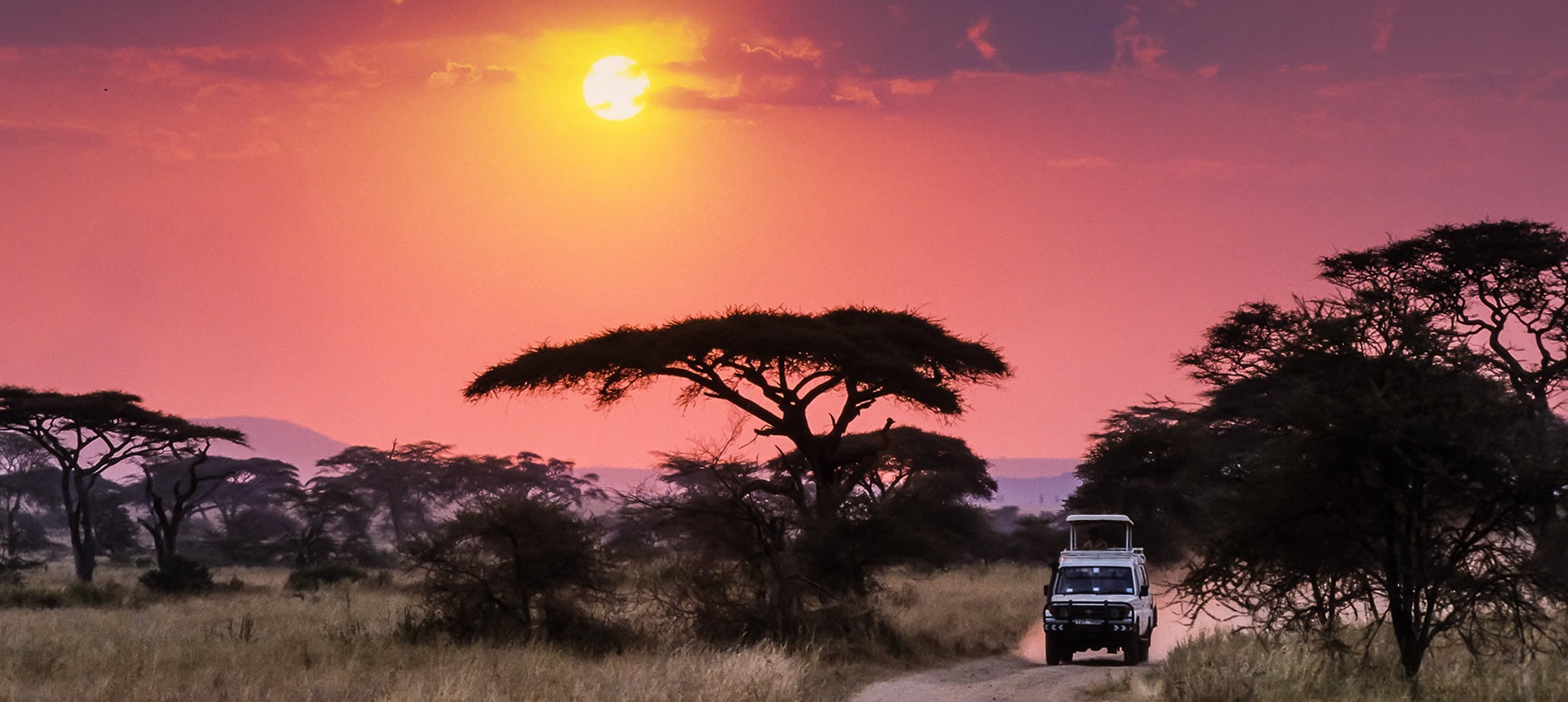 self drive trips car rental and one way cross border safaris