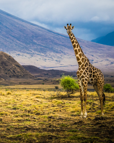 4x4 Tanzania self drive tours