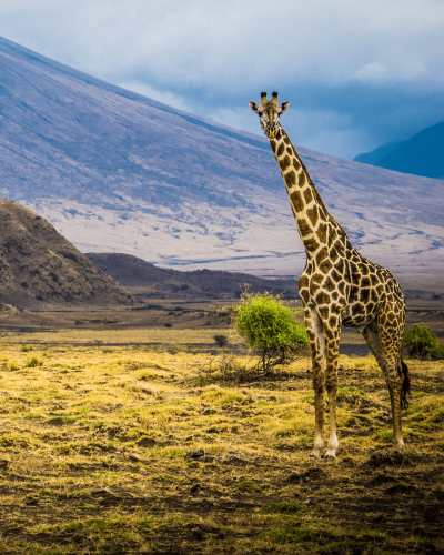 4x4 Tanzania self drive tours