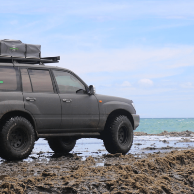 Queen Elizabeth National Park Safari Guide: Self-Drive Tours vs. Guided Safaris — Which Is Right for You?