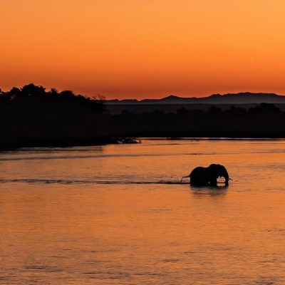 Explore Akagera National Park on self drive safari or Guided tours. Rent a 4x4 for Rwanda budget trips