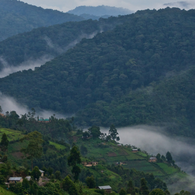 Up-Here-On-the-way-to-gorillas-in-bwindi-National-Park