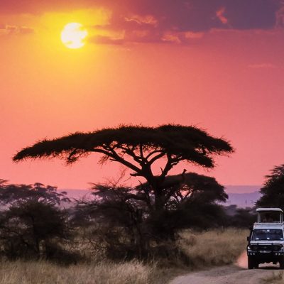 self drive trips car rental and one way cross border safaris